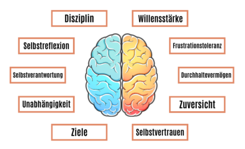 Mental Starke Menschen Mentalakademie Europa